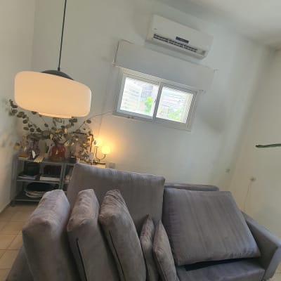 כריות ספה מונחות על ספה לניקוי