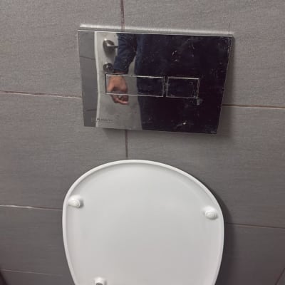 לחצן הדחה ומושב אסלה בחדר שירותים