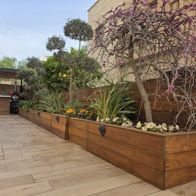 גינה עם עצים ופרחים במיכלי עץ מעוצבים