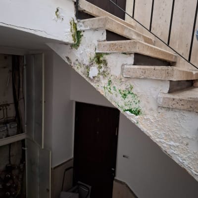 גרם מדרגות עם קירות מתקלפים ונזקי רטיבות