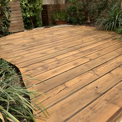 דק עץ בגינה עם צמחייה מסביב