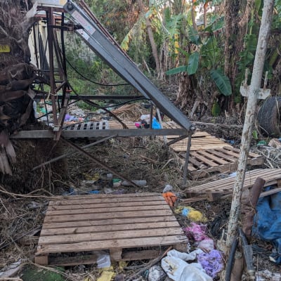 תמונה אינה מציגה עבודה בתחום