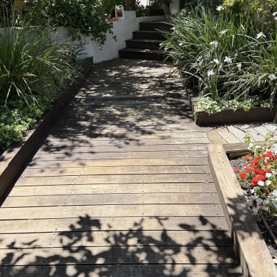 שביל עץ בגן עם צמחייה ירוקה ופרחים