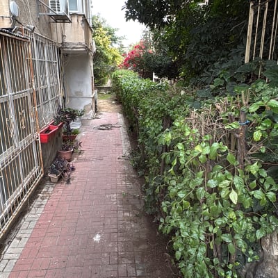 שביל עם צמחייה וגדרות לצד בניין