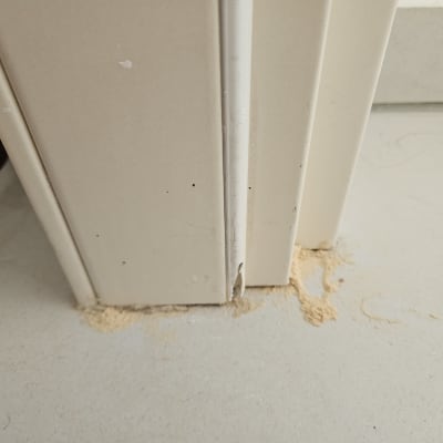 אבקה ליד מסגרת דלת, סימן לפעילות טרמיטים