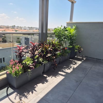 צמחים ופרחים במרפסת עם נוף עירוני
