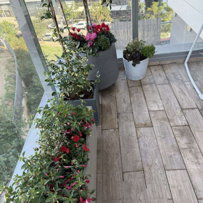 עציצים עם פרחים במרפסת עם רצפת עץ