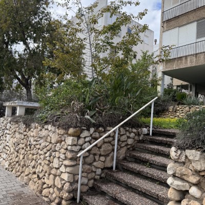 גינה עם מדרגות אבן וצמחייה ירוקה