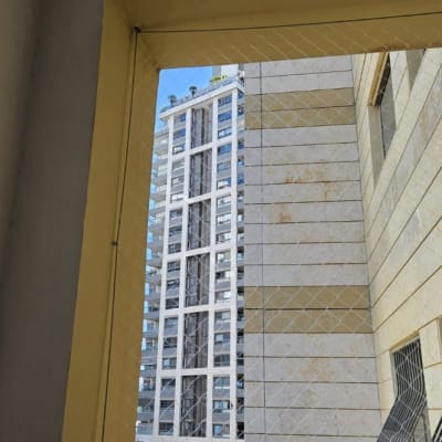 רשת למניעת כניסת יונים על חלון בניין