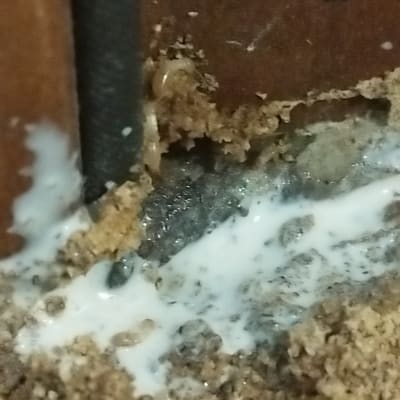 חומר הדברה נוזלי על עץ ואדמה