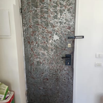 דלת עם ציפוי מתכתי ודוגמאות אמנותיות