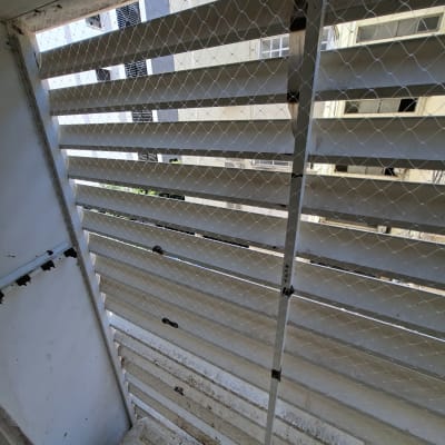 רשת יונים מותקנת על חלון עם תריסים