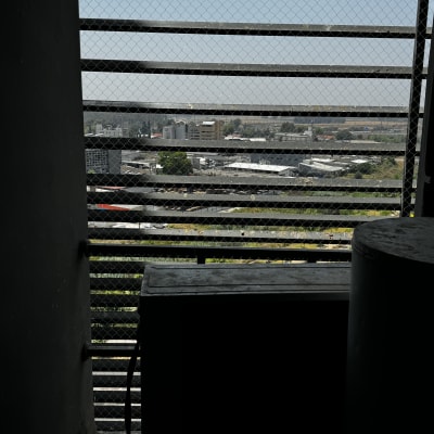 רשת מתכת על חלון למניעת כניסת יונים