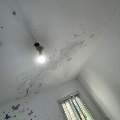 תקרה עם קילופי צבע ופרפרים על הקיר