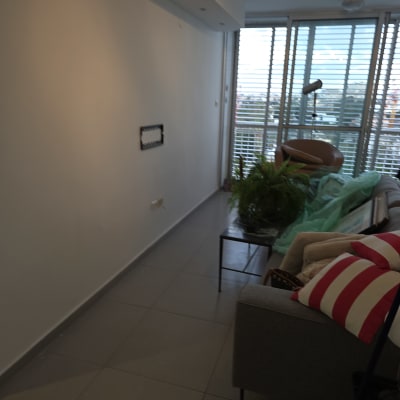 קיר צבוע בסלון עם רהיטים וצמחייה