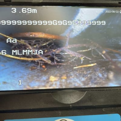 צילום מסך של מצלמת ביוב עם שורשים בצינור