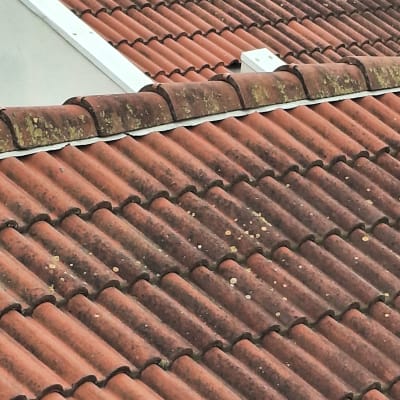 רעפים אדומים על גג עם כתמי טחב