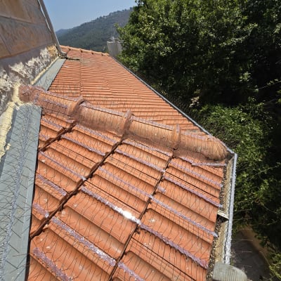 רשת דוקרנים על גג רעפים אדום למניעת יונים