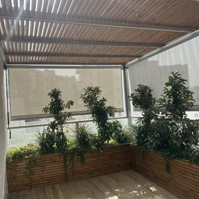 פרגולה מעץ עם צמחים ירוקים על רצפת עץ