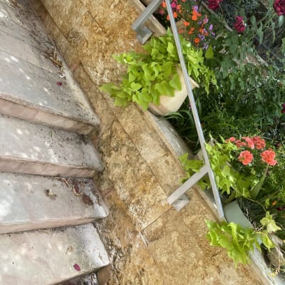 מעקה מתכת ליד מדרגות אבן עם עציצים