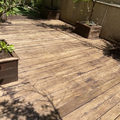 דק עץ עם עציצים מרובעים ועצים קטנים