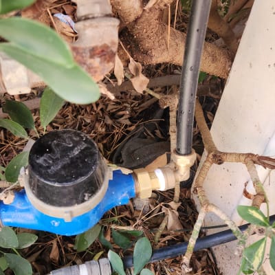 צינור מים ומד מים בין עלים וענפים