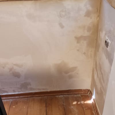 קיר צבוע חלקית עם חלון ועץ ברקע