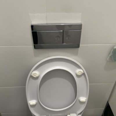 אסלה עם לחצן הדחה כפול ומברשת ניקוי