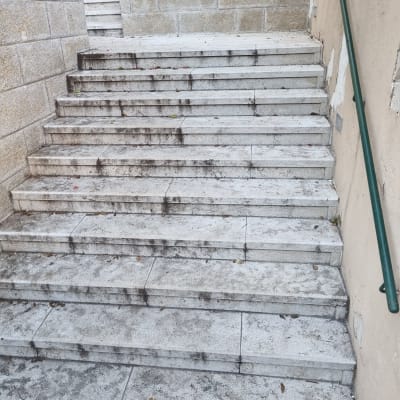 מדרגות מלוכלכות עם כתמים ועלים יבשים