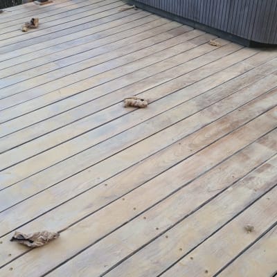 דק עץ עם עלים יבשים וג