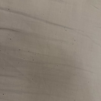 כתמים שחורים קטנים על בד בהיר