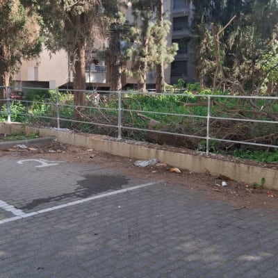 חניה ריקה עם עצים וגדר ברקע