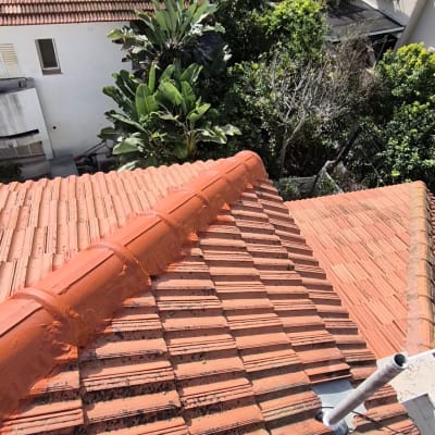 גג רעפים עם צינור ואלמנטים ירוקים מסביב