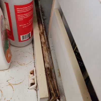 בקבוקי חומרי ניקוי בארון מטבח עם לכלוך ועובש