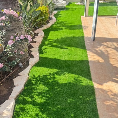 דשא סינטטי, עצים ופרחים בגינה מטופחת