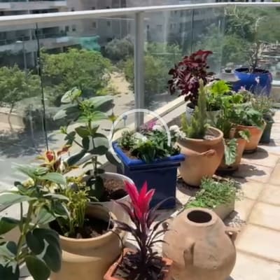 עציצים עם צמחים על מרפסת בבניין מגורים