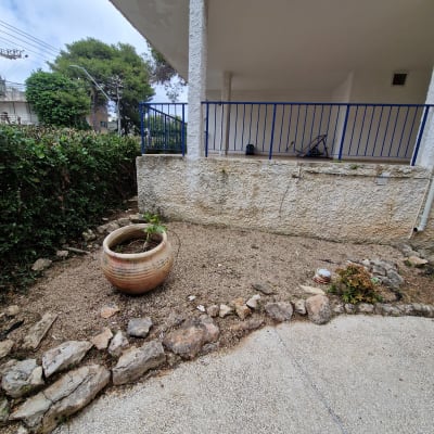 אזור גינה עם עציץ גדול ואבנים מסביב
