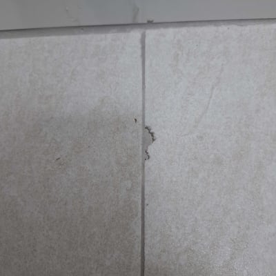 אריח פגום עם סדק קטן