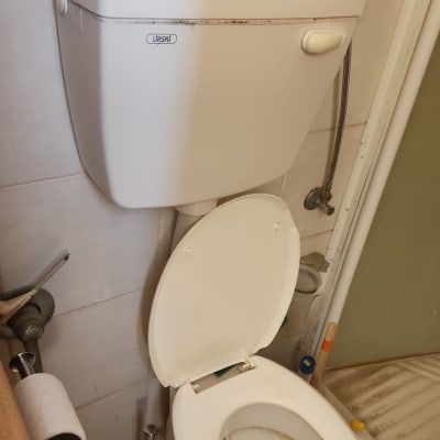 אסלה עם מברשת ניקוי וחומרי ניקוי