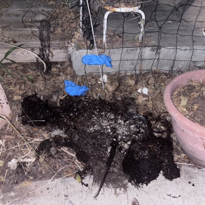 אדמה וכלים בגינה, ייתכן קשור לעבודת אינסטלציה