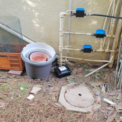 מלכודת עכברים ליד צינורות ומיכלים בחצר