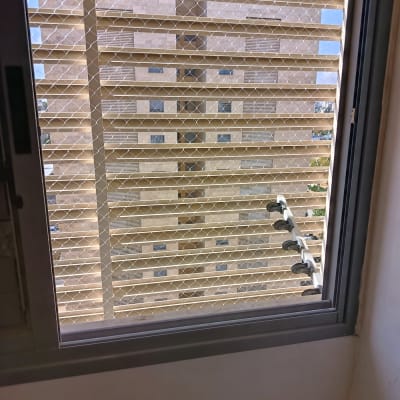 רשת יונים מותקנת על חלון למניעת כניסת יונים