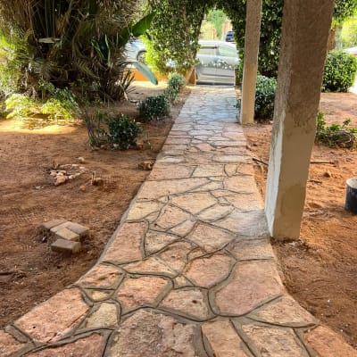 שביל אבן עם צמחייה מסביב ועצים