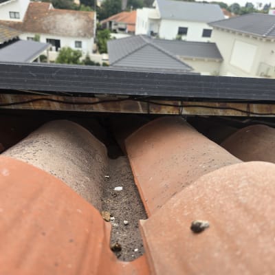 רעפים עם לכלוך על גג בית