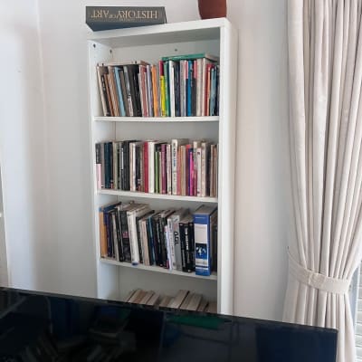 ספרים על מדף לבן עם קקטוס למעלה