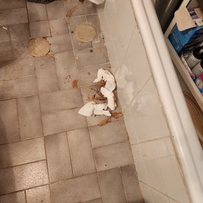 רצפת חדר אמבטיה עם לכלוך וניירות