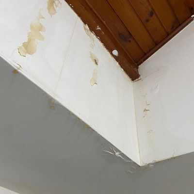 כתמי רטיבות על תקרה עם חיפוי עץ