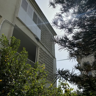 בניין עם תריסים לבנים ועץ ירוק בחזית