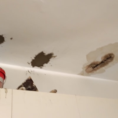 תיקון תקרה עם טיח ודלי צבע