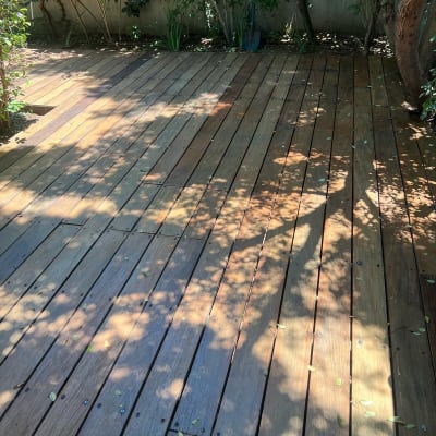 דק עץ בגינה עם צללים של עצים מסביב